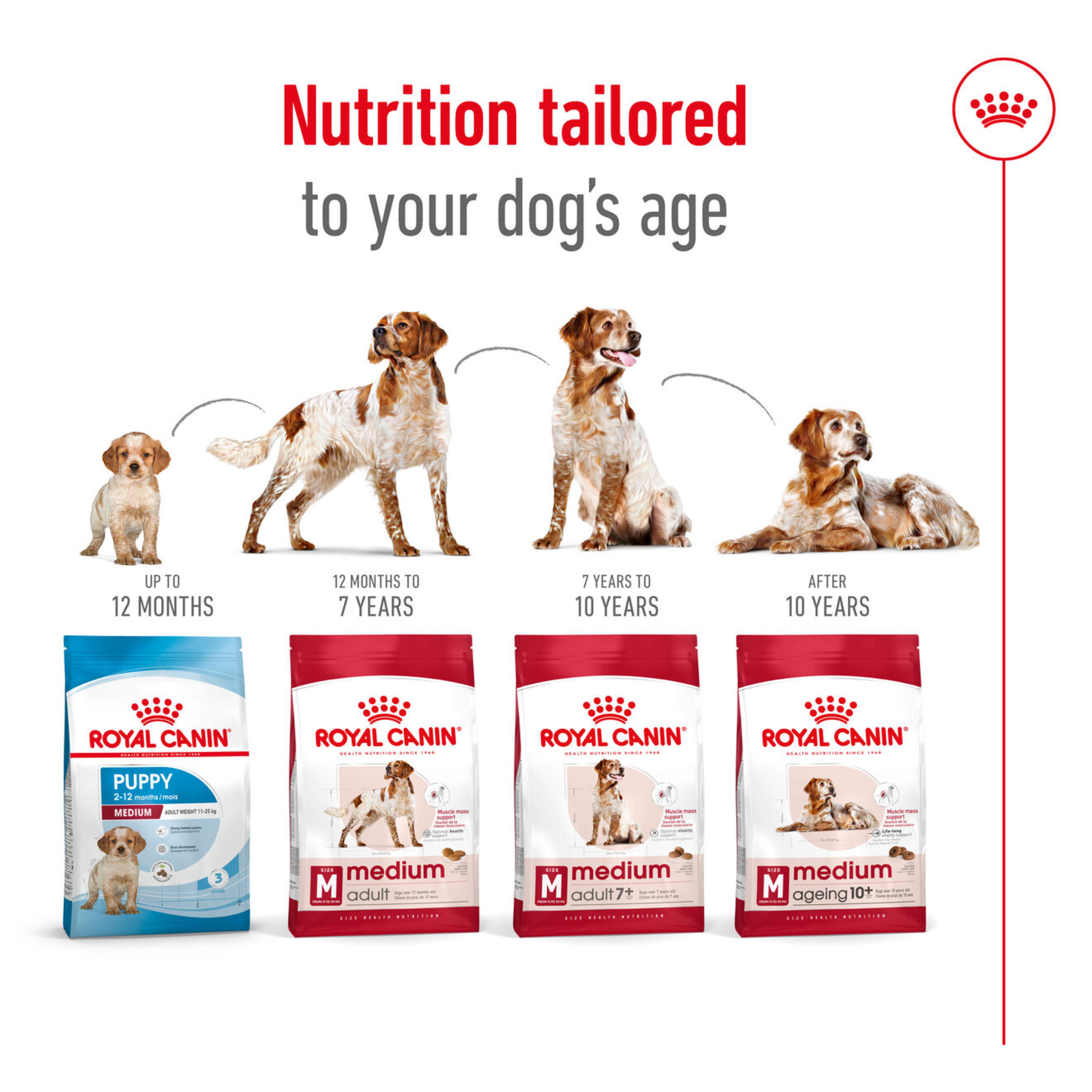 Royal Canin Medium Adult Food 15kg➠Get It Tomorrow by 7pm